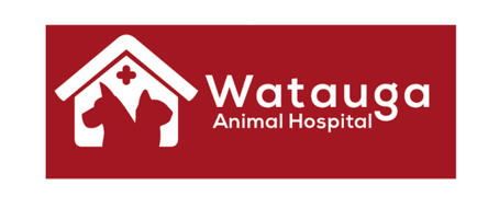 watauga-animal-hospital